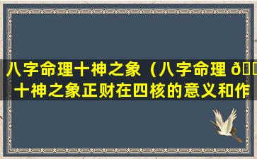 八字命理十神之象（八字命理 🐋 十神之象正财在四核的意义和作用）